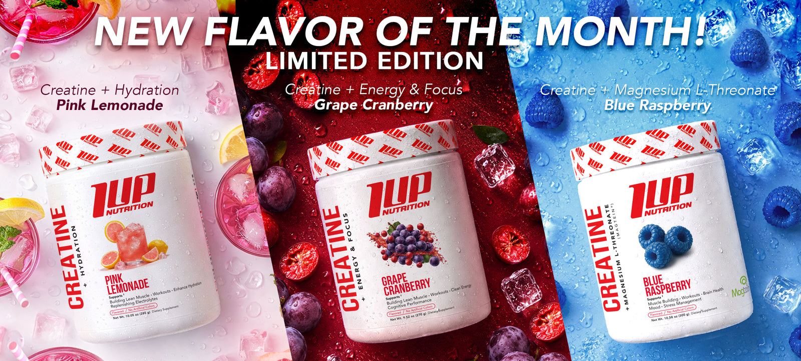 1UP Nutrition 1UP Nutrition