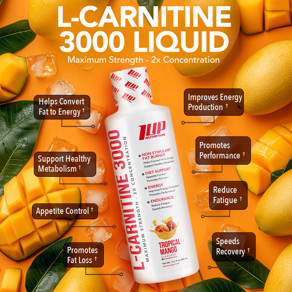 L-Carnitine 3000 Liquid L-Carnitine 3000 Liquid